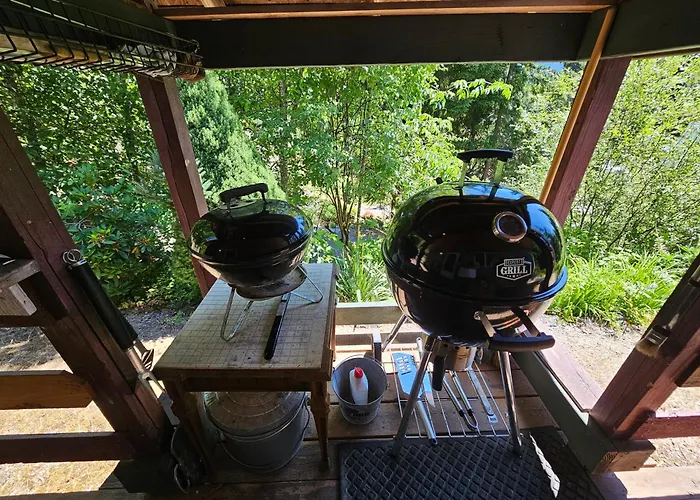 Packwood Ski & Vacation Getaway
