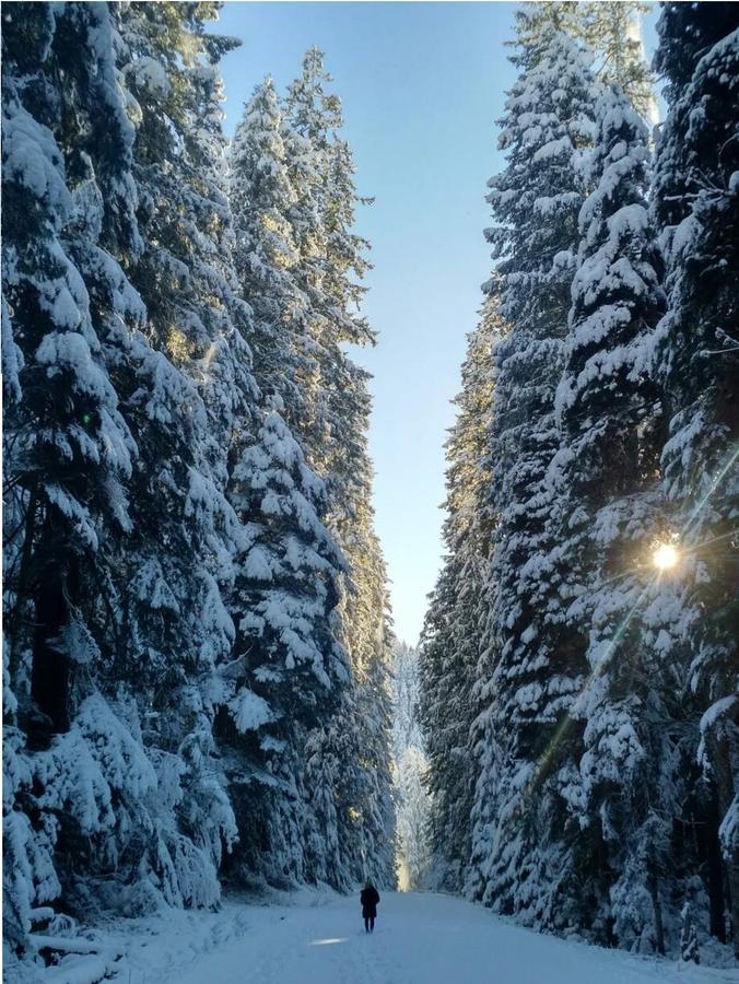 & Vacation Getaway * Packwood