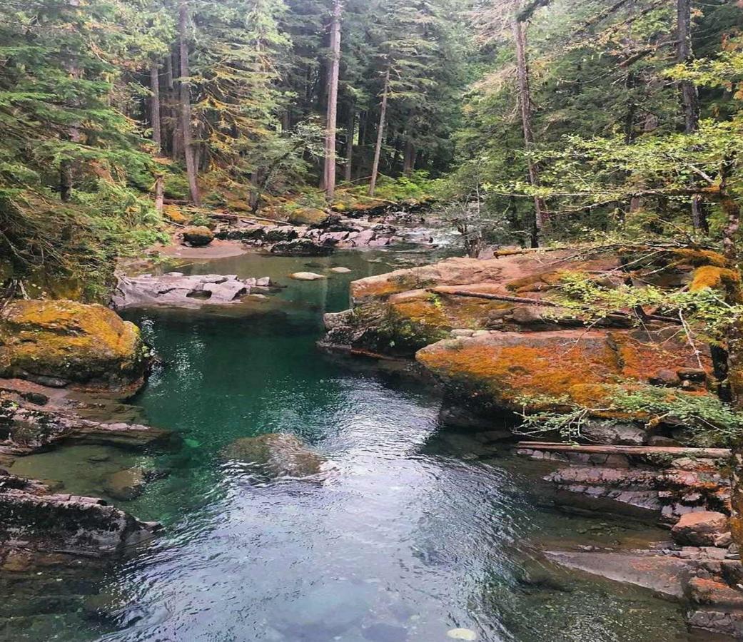 & Vacation Getaway Casa vacanze Packwood